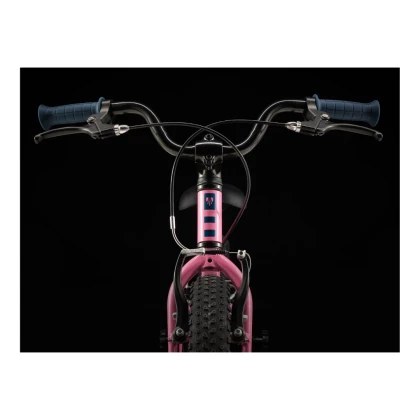 Bicicleta Trek Infantil Precaliber aro 16 - 4 e 5 anos