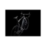 bicicleta-trek-speed-emonda-carbono-2023
